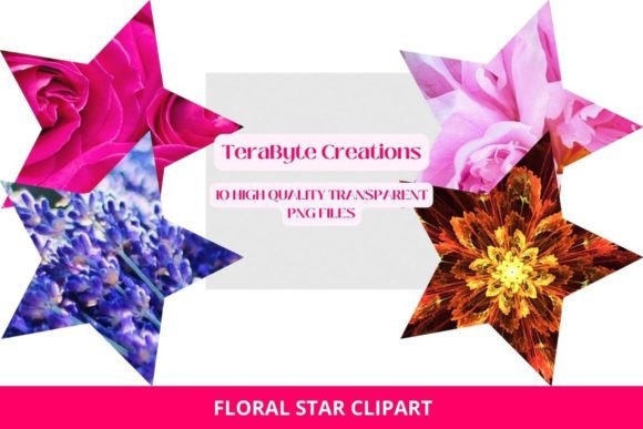 The Practical Value of a Floral Star Clipart Set